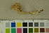  ( - O-F-204492)  @11 [ ] by-nc-sa (2023) Unspecified University of Oslo, Natural History Museum