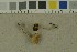  ( - O-F-215110)  @11 [ ] by-nc-sa (2023) Unspecified University of Oslo, Natural History Museum