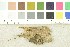  (Capitotricha - O-F-21635)  @11 [ ] CreativeCommons - Attribution Non-Commercial Share-Alike (2017) Unspecified University of Oslo, Natural History Museum