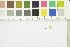  ( - O-F-21782)  @11 [ ] CreativeCommons - Attribution Non-Commercial Share-Alike (2017) Unspecified University of Oslo, Natural History Museum
