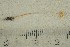  ( - O-F-21840)  @11 [ ] by-nc-sa (2021) Unspecified University of Oslo, Natural History Museum