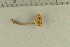  ( - O-F-244694)  @11 [ ] by-nc-sa (2021) Unspecified University of Oslo, Natural History Museum