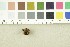  (Humaria hemisphaerica - O-F-245314)  @11 [ ] CreativeCommons - Attribution Non-Commercial Share-Alike (2017) Unspecified University of Oslo, Natural History Museum