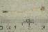  ( - O-F-245675)  @11 [ ] by-nc-sa (2021) Unspecified University of Oslo, Natural History Museum