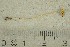  ( - O-F-245675)  @11 [ ] by-nc-sa (2021) Unspecified University of Oslo, Natural History Museum