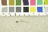  ( - O-F-245760)  @11 [ ] CreativeCommons - Attribution Non-Commercial Share-Alike (2017) Unspecified University of Oslo, Natural History Museum