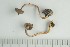  ( - O-F-248756)  @11 [ ] by-nc-sa (2021) Unspecified University of Oslo, Natural History Museum