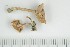  ( - O-F-249210)  @11 [ ] by-nc-sa (2021) Unspecified University of Oslo, Natural History Museum
