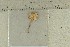  ( - O-F-251769)  @11 [ ] by-nc-sa (2021) Unspecified University of Oslo, Natural History Museum