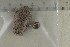  ( - O-F-251875)  @11 [ ] by-nc-sa (2021) Unspecified University of Oslo, Natural History Museum