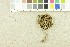  ( - O-F-252202)  @11 [ ] CreativeCommons - Attribution Non-Commercial Share-Alike (2017) Unspecified University of Oslo, Natural History Museum
