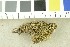  ( - O-F-252866)  @11 [ ] CreativeCommons - Attribution Non-Commercial Share-Alike (2017) Unspecified University of Oslo, Natural History Museum