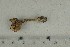  ( - O-F-258357)  @11 [ ] by-nc-sa (2021) Unspecified University of Oslo, Natural History Museum