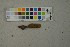  (Phellinus conchatus - O-F-260473)  @11 [ ] by-nc-sa (2023) Unspecified University of Oslo, Natural History Museum