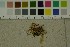  ( - O-F-271432)  @11 [ ] by-nc-sa (2025) Unspecified University of Oslo, Natural History Museum