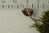  ( - O-F-294546)  @11 [ ] by-nc-sa (2021) Unspecified University of Oslo, Natural History Museum