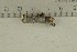 ( - O-F-300131)  @11 [ ] by-nc-sa (2021) Unspecified University of Oslo, Natural History Museum