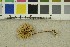  ( - O-F-301218)  @11 [ ] CreativeCommons - Attribution Non-Commercial Share-Alike (2018) Unspecified University of Oslo, Natural History Museum