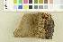  ( - O-F-301281)  @11 [ ] CreativeCommons - Attribution Non-Commercial Share-Alike (2018) Unspecified University of Oslo, Natural History Museum