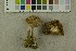  ( - O-F-302285)  @11 [ ] CreativeCommons - Attribution Non-Commercial Share-Alike (2017) Unspecified University of Oslo, Natural History Museum