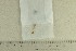  ( - O-F-302469)  @11 [ ] by-nc-sa (2022) Unspecified University of Oslo, Natural History Museum