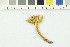  ( - O-F-303786)  @11 [ ] CreativeCommons - Attribution Non-Commercial Share-Alike (2017) Unspecified University of Oslo, Natural History Museum