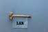  ( - O-F-304873)  @11 [ ] CreativeCommons - Attribution Non-Commercial Share-Alike (2017) Unspecified University of Oslo, Natural History Museum