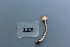  ( - O-F-304875)  @11 [ ] CreativeCommons - Attribution Non-Commercial Share-Alike (2017) Unspecified University of Oslo, Natural History Museum