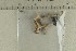  ( - O-F-304960)  @11 [ ] by-nc-sa (2021) Unspecified University of Oslo, Natural History Museum