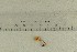  ( - O-F-304963)  @11 [ ] by-nc-sa (2021) Unspecified University of Oslo, Natural History Museum