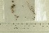  ( - O-F-306619)  @11 [ ] by-nc-sa (2022) Unspecified University of Oslo, Natural History Museum