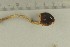 ( - O-F-307869)  @11 [ ] by-nc-sa (2021) Unspecified University of Oslo, Natural History Museum
