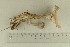  ( - O-F-307940)  @11 [ ] by-nc-sa (2021) Unspecified University of Oslo, Natural History Museum