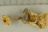  ( - O-F-308078)  @11 [ ] by-nc-sa (2021) Unspecified University of Oslo, Natural History Museum