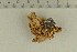  ( - O-F-308532)  @11 [ ] by-nc-sa (2021) Unspecified University of Oslo, Natural History Museum