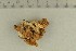  ( - O-F-308532)  @11 [ ] by-nc-sa (2021) Unspecified University of Oslo, Natural History Museum