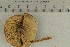  ( - O-F-309048)  @11 [ ] by-nc-sa (2021) Unspecified University of Oslo, Natural History Museum