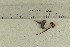  ( - O-F-309282)  @11 [ ] by-nc-sa (2021) Unspecified University of Oslo, Natural History Museum