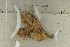  ( - O-F-309355)  @11 [ ] by-nc-sa (2021) Unspecified University of Oslo, Natural History Museum