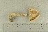  ( - O-F-362627)  @11 [ ] by-nc-sa (2021) Unspecified University of Oslo, Natural History Museum