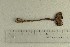  ( - O-F-370183)  @11 [ ] by-nc-sa (2021) Unspecified University of Oslo, Natural History Museum