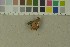  ( - O-F-372047)  @11 [ ] by-nc-sa (2023) Unspecified University of Oslo, Natural History Museum