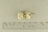  ( - O-F-76468)  @11 [ ] by-nc-sa (2021) Unspecified University of Oslo, Natural History Museum
