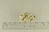  ( - O-F-76468)  @11 [ ] by-nc-sa (2021) Unspecified University of Oslo, Natural History Museum