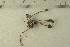 ( - O-F-76543)  @11 [ ] by-nc-sa (2021) Unspecified University of Oslo, Natural History Museum