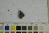  ( - O-F-76914)  @11 [ ] by-nc-sa (2023) Unspecified University of Oslo, Natural History Museum