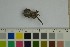  ( - O-F-76916)  @11 [ ] by-nc-sa (2023) Unspecified University of Oslo, Natural History Museum