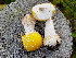  ( - TROM_F_26608)  @11 [ ] CreativeCommons - Attribution Non-Commercial Share-Alike (2018) Unspecified Tromsø University Museum