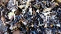  ( - TROM_F_26619)  @11 [ ] CreativeCommons - Attribution Non-Commercial Share-Alike (2018) Unspecified Tromsø University Museum