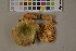  ( - O-F-75419)  @11 [ ] Unspecified (default): All Rights Reserved  Unspecified Unspecified